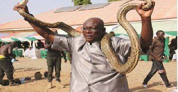 Inside Yobe Kingdom Where Snakes Are Relatives to Locals 1