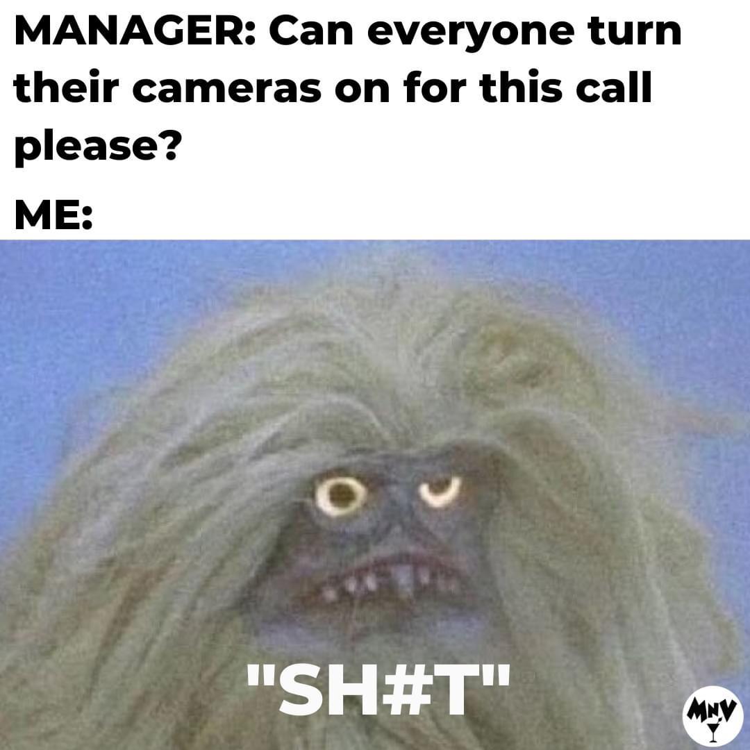 Caption: Manager: Can everyone turn on their cameras for this call please?

Me: Some sort of ugly muppet character with yellow eyes and long, tangled hair.

“SH#T”