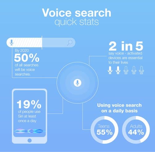 voice search optimization stats