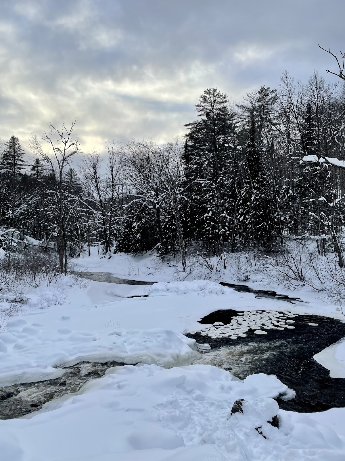 stubb's falls arrowhead