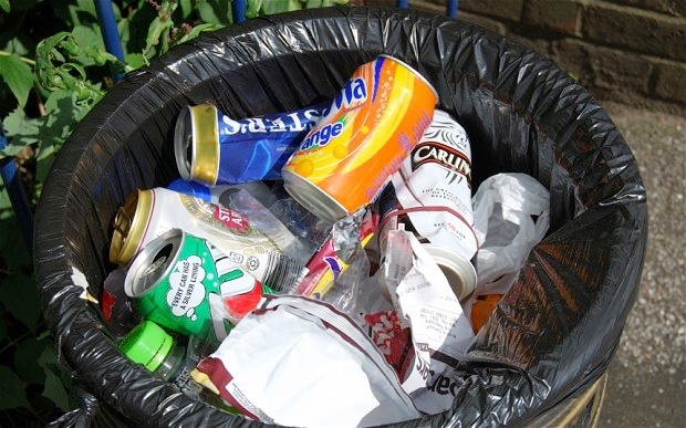 sarang jentik nyamuk tempat sampah