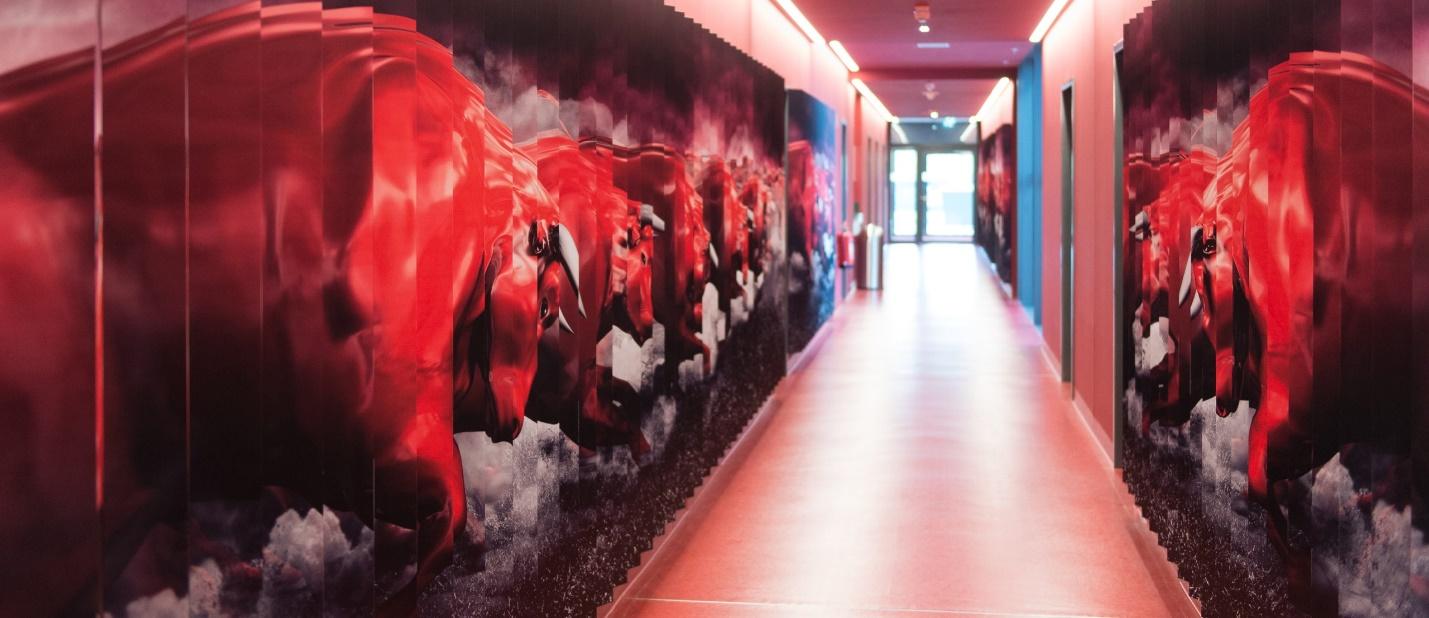 D:\important\футбол\канал\leipzig\rb-leipzig-trainingszentrum-am-cottaweg-3-scaled.jpg