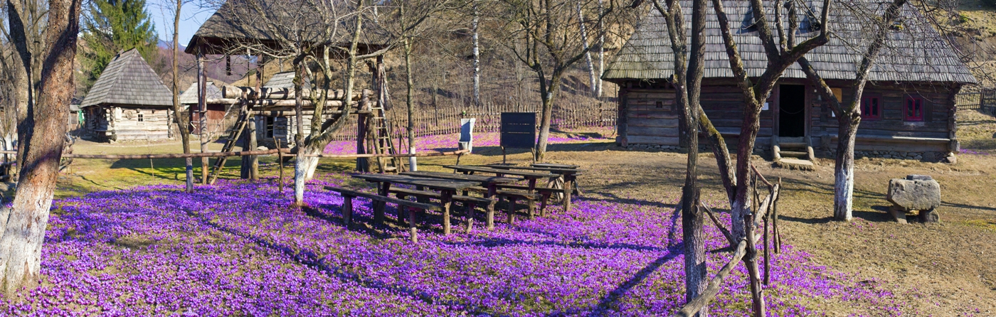 7 туристических мест в Украине, расцветающих весной
