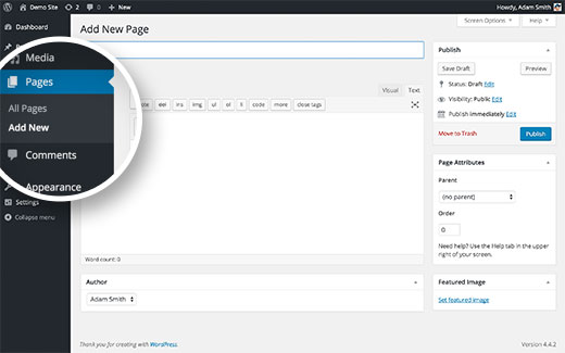 Interface de usuário do WordPress