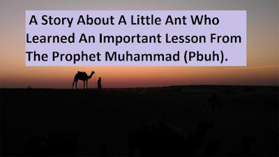 A Story About A Little Ant Who Learned An Important Lesson From The Prophet Muhammad (Pbuh). A Story About A Little Ant Who Learned An Important Lesson From The Prophet Muhammad (Pbuh).