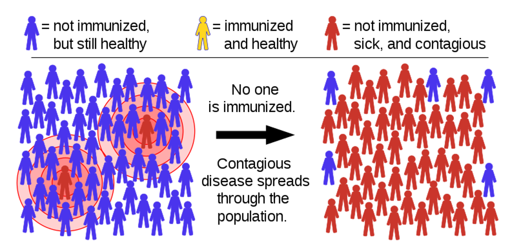 Image explaining herd immunity. The shown scenario is when no immunized individuals are present
