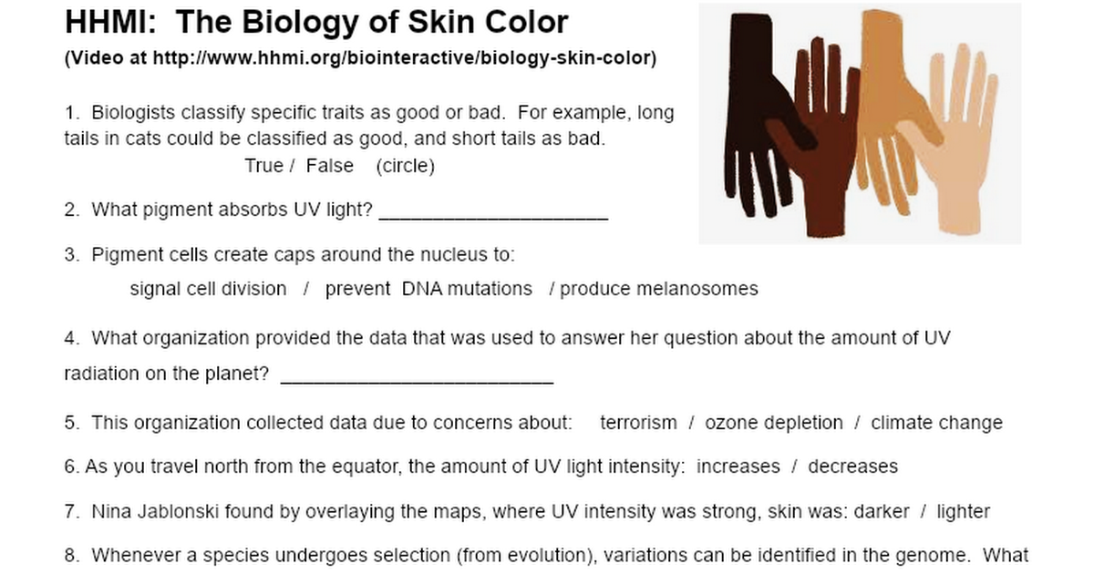 hhmi-the-biology-of-skin-color-google-docs