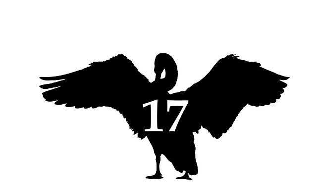 blackswan17.jpg