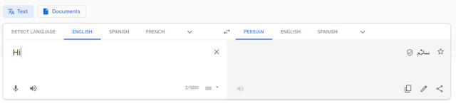 google translate app