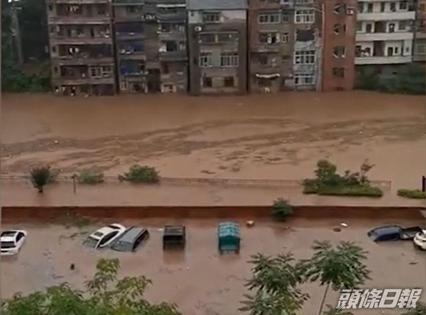 網圖