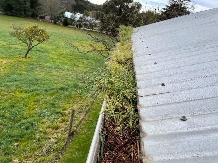 Full gutters cause water to leak into your house