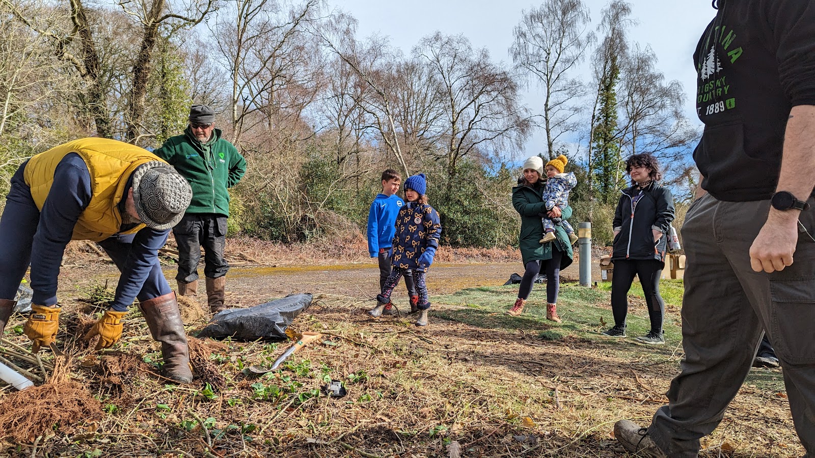 Tree planting demo 