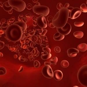 The seven types of anaemia | Health24