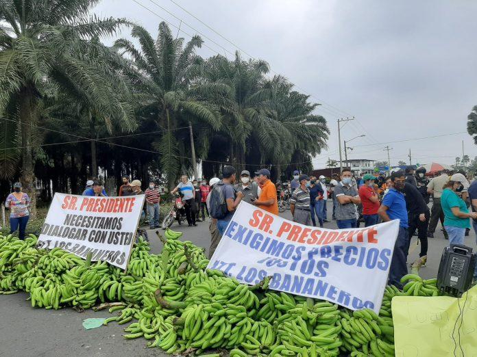 Agricultores cerraron vías con racimos de plátanos