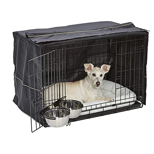 A dog on a metal covered crate
