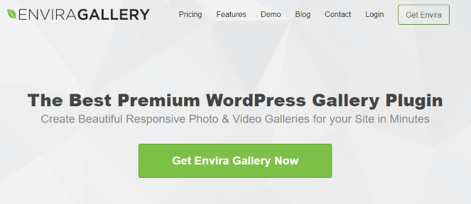 envira gallery plugin