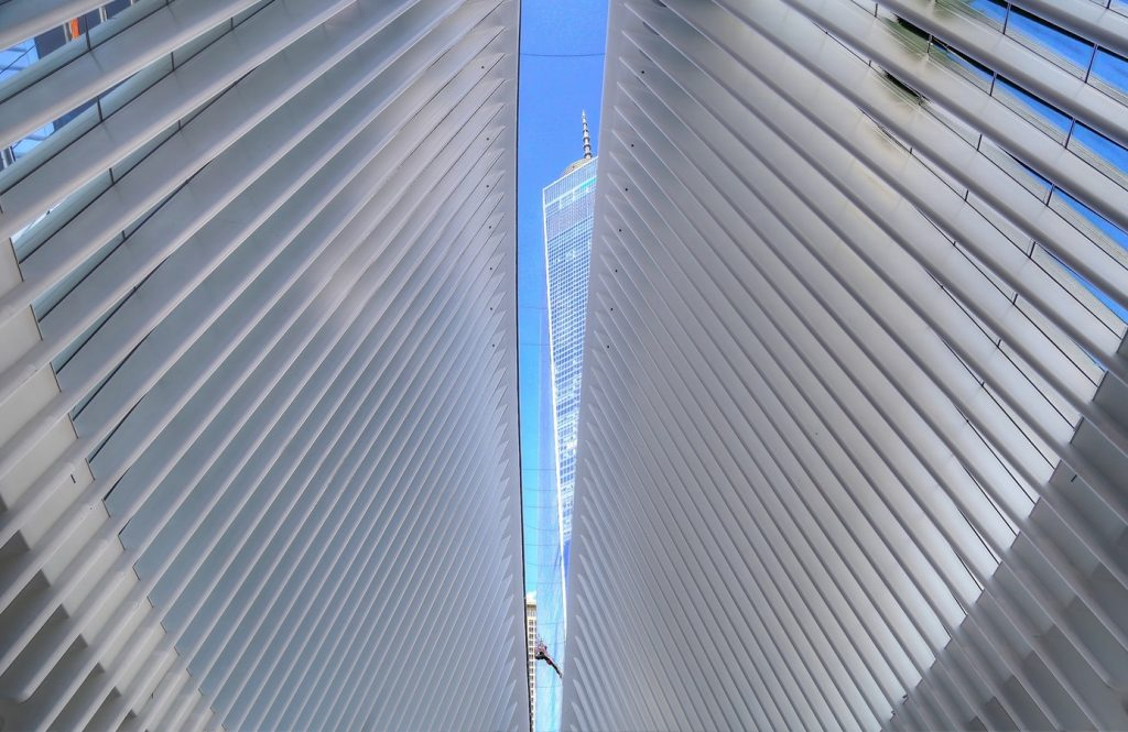 The Ribs in the Oculus