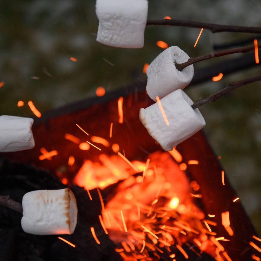marshmallows around a fire