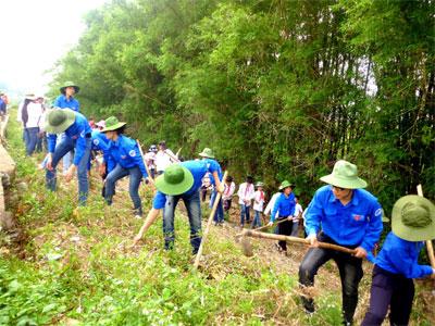 Kết quả hình ảnh cho tình nguyện