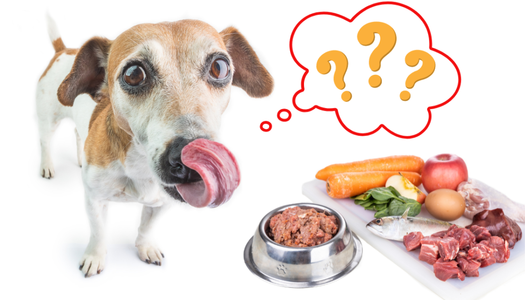 4 Raw Dog Food Recipes You Can Make At Home