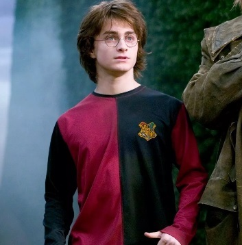 Harry Potter in Triwizard Tournament Costume