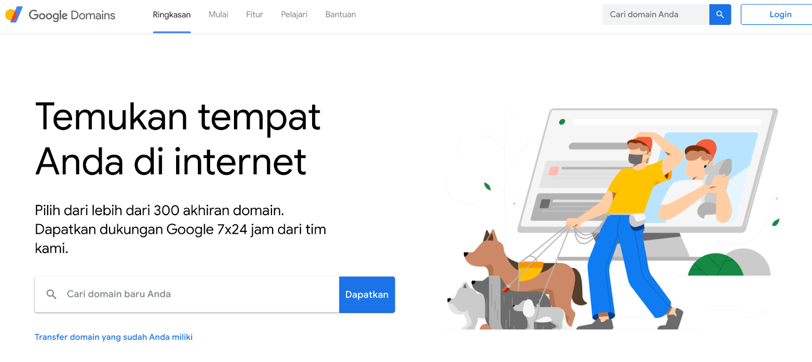 google domain adalah