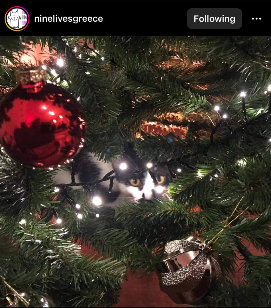 A Christmas tree with aluminum foil