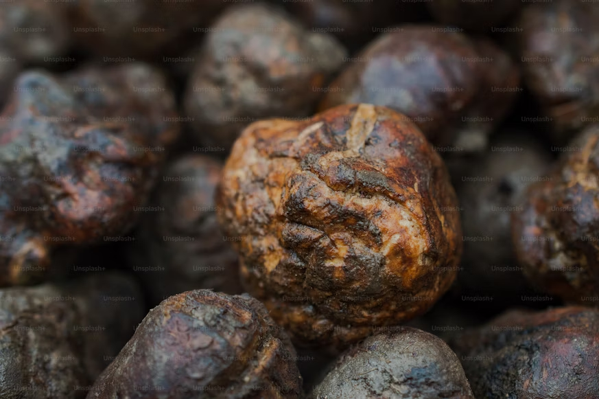 Fresh truffles you can find in Croatia