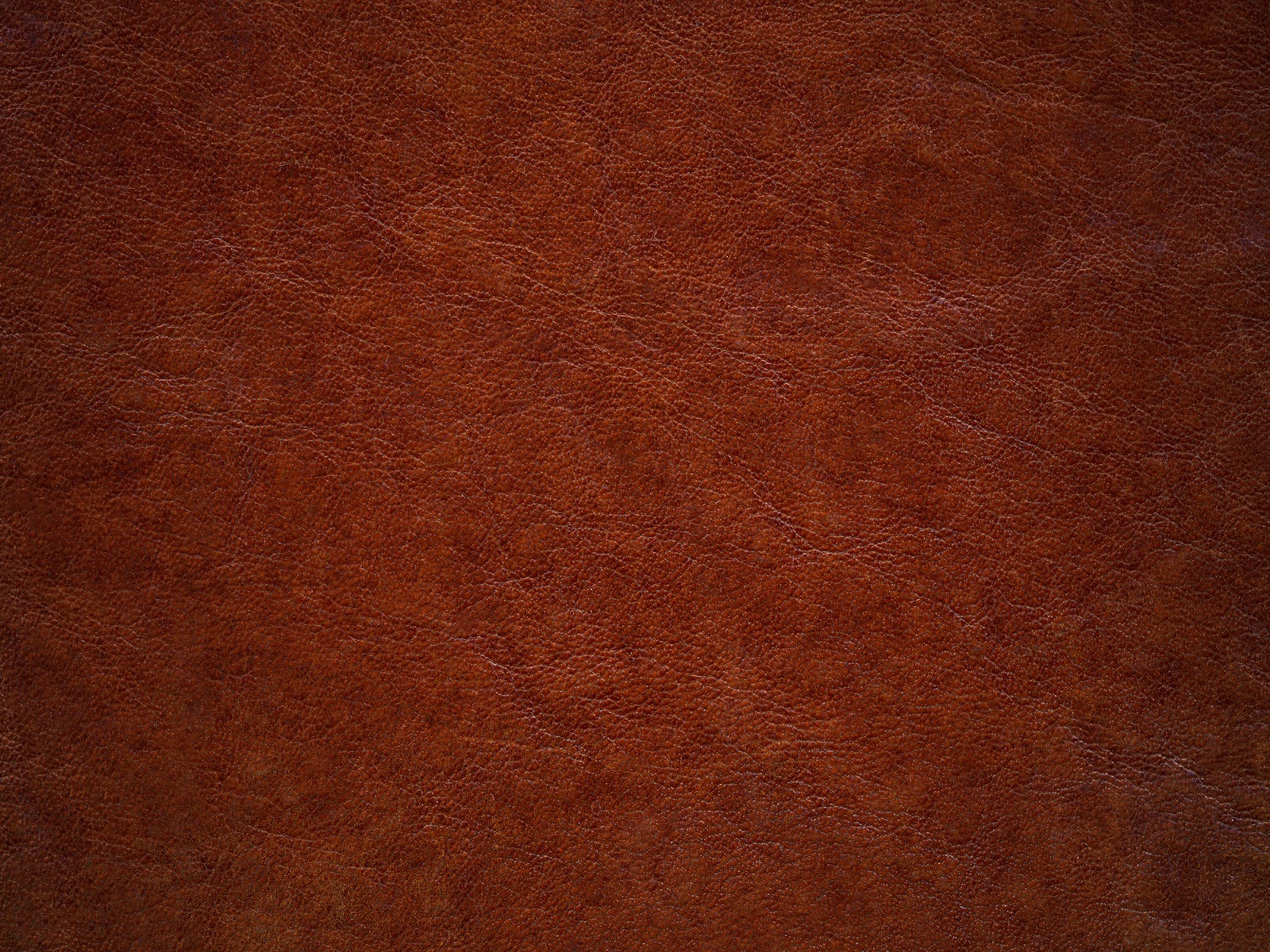 bigstock-Brown-Leather-27631439.jpg