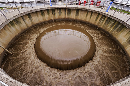 Sludge from Wastewater Treatment Plant