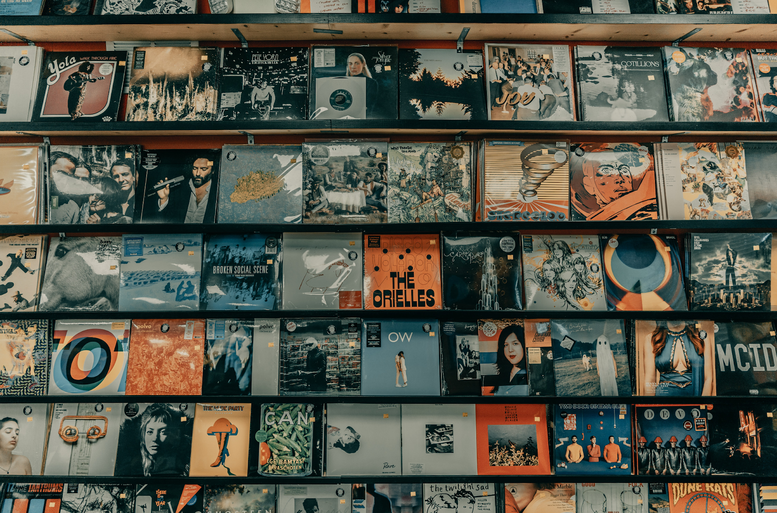 music albums in a shelf
