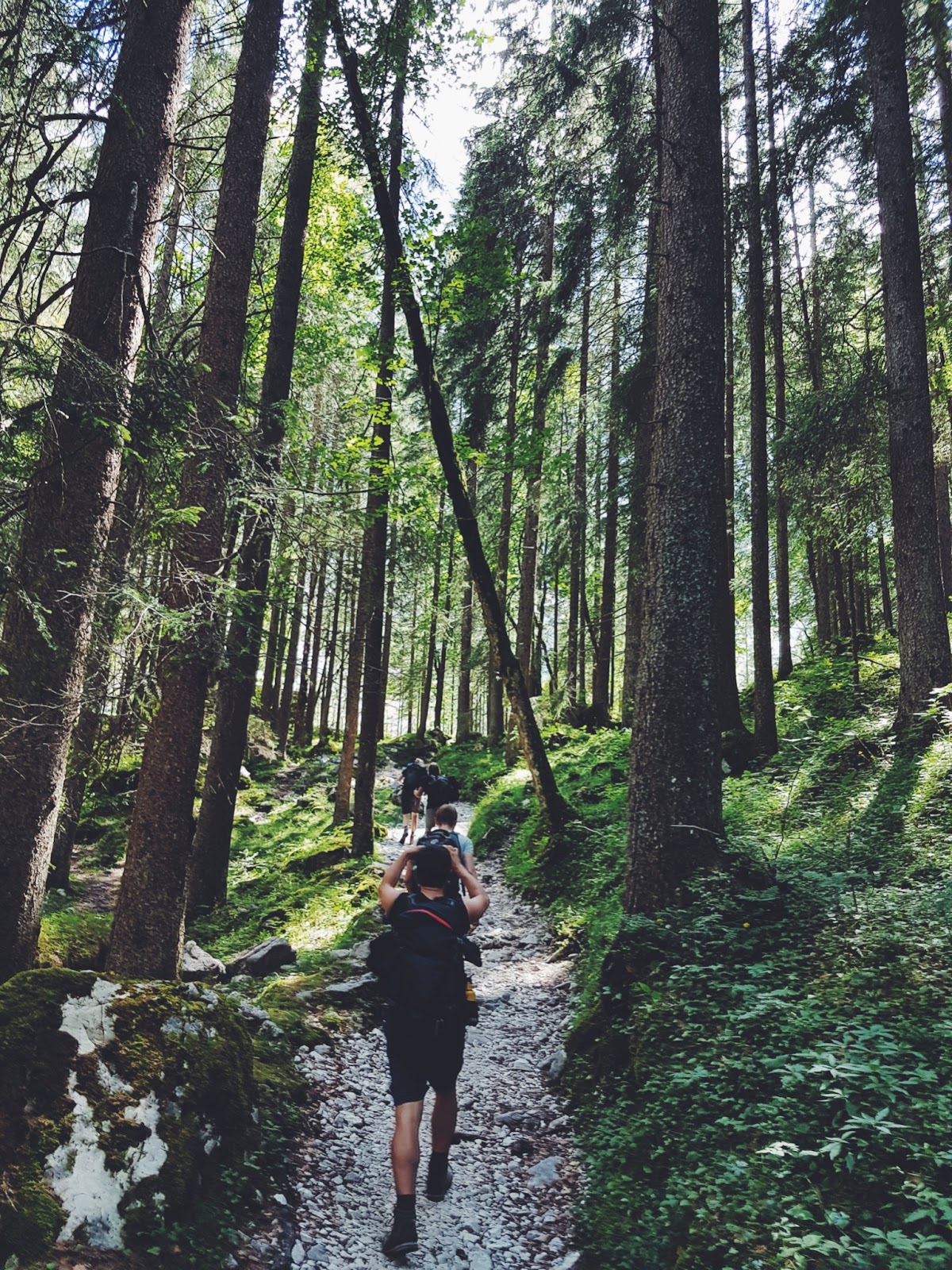 hiking trails with friends