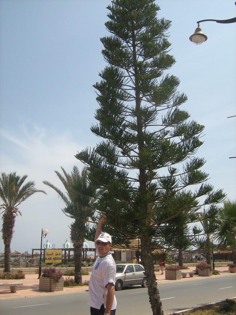 036538566-big.jpg