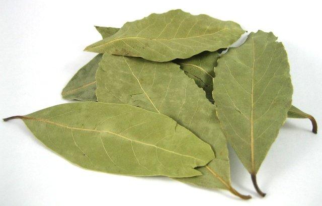 Bay Leaves (Laurel Leaves) - Herbs & Spices - Cooking & Baking - Nuts.com
