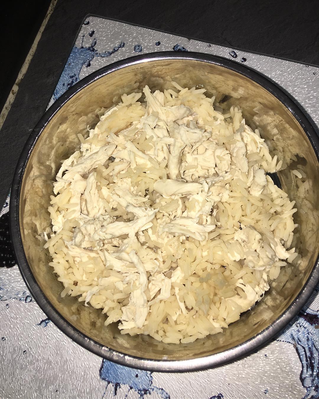 Is boiled chicken clearance good for puppies