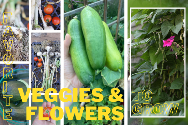 vegetables and flowers to grow in the garden 