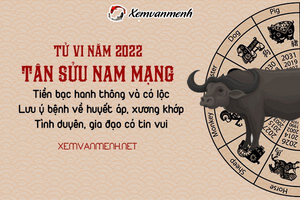 tu-vi-tuoi-tan-suu-nam-2022-nam-mang-1961