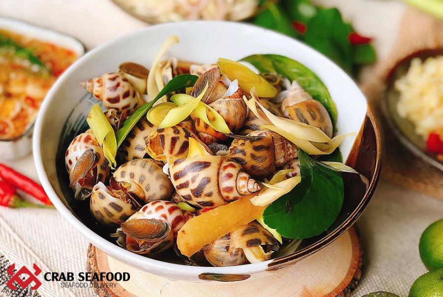 Mua ốc hương sống ở đâu chất lượng, giá rẻ tại TP.HCM? - Crab Seafood