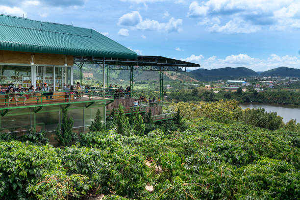 anh hoa da lat