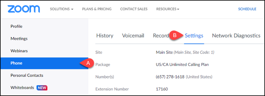 Zoom Phone Settings on the web