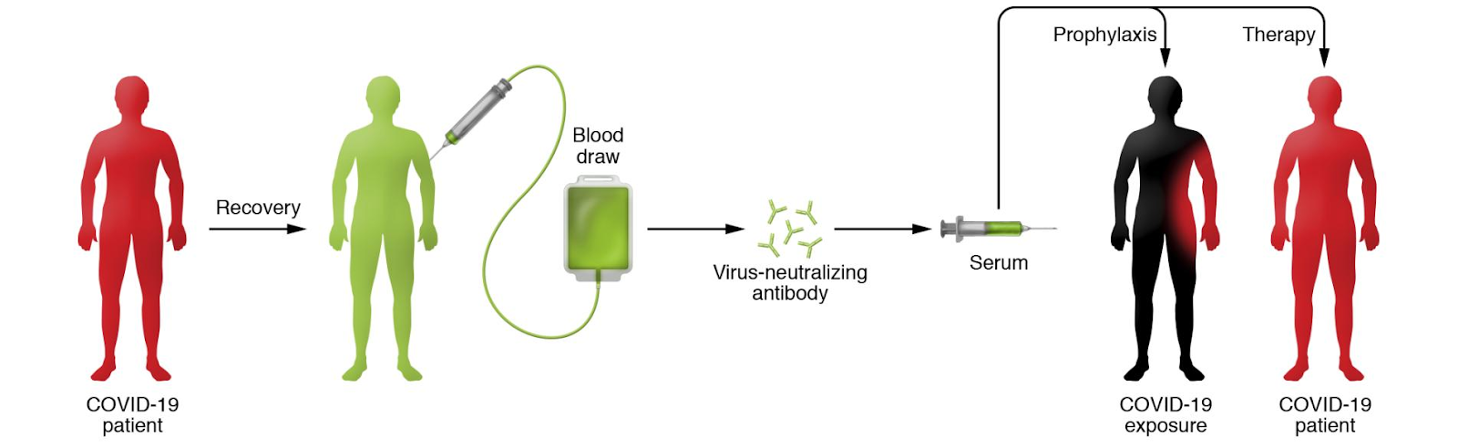 Investigational Therapeutics and Vaccine Development