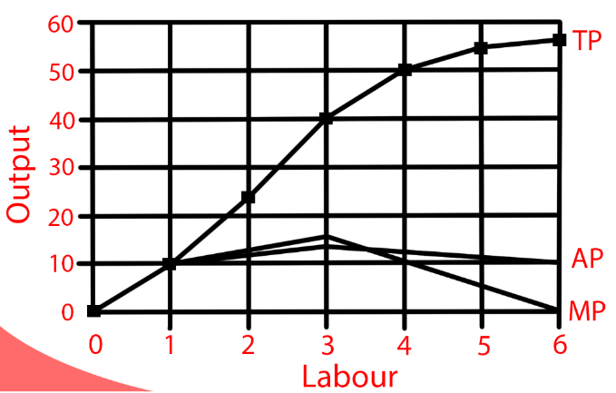 Curve (TP, AP and MP)