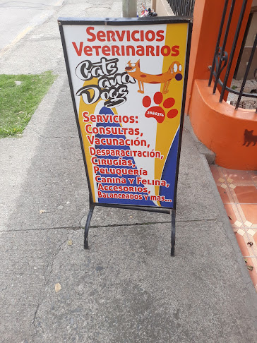 Cats and Dogs