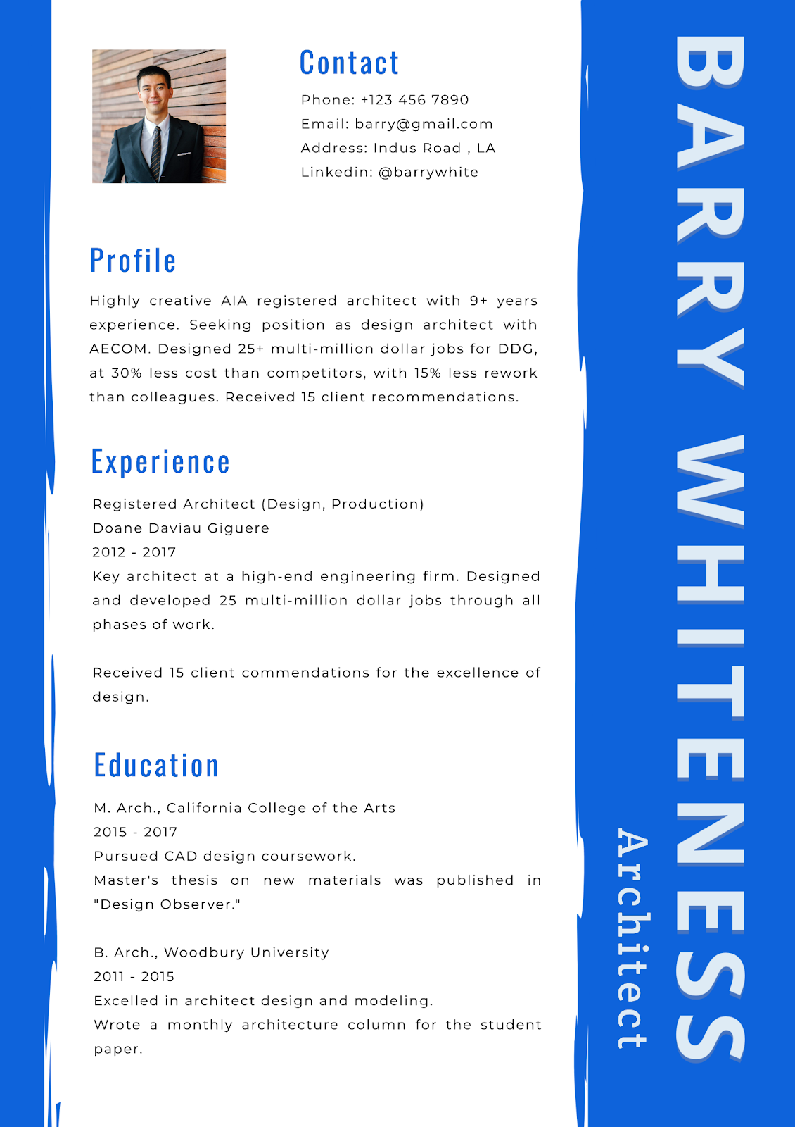 Architect Resume Template by DocHipo