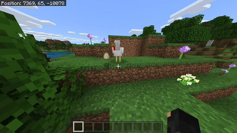 Chicken in Minecraft