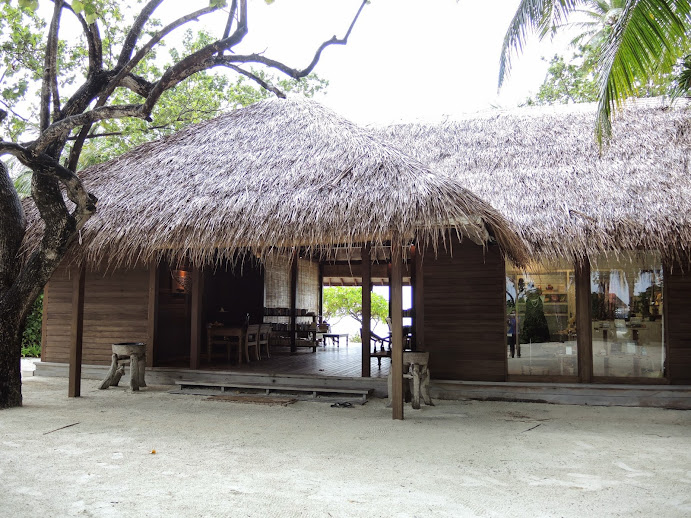 a building with a thatched roof