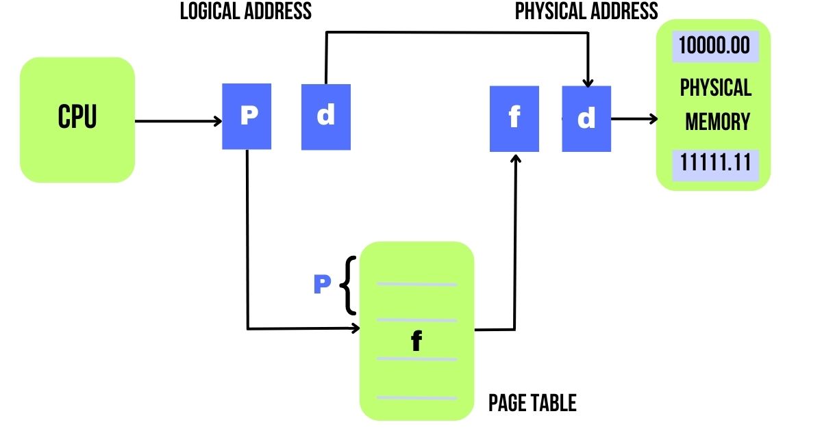 Difference Between Paging And Segmentation Shiksha Online