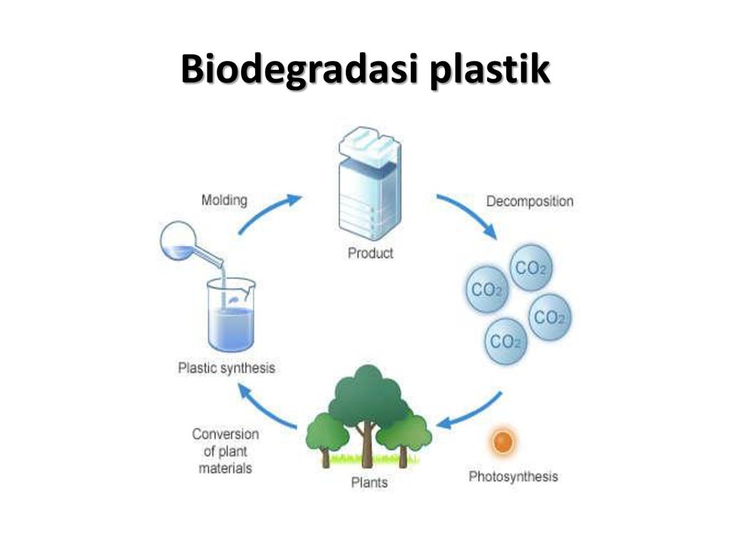 Apa Itu Biodegradasi? - Plasteek