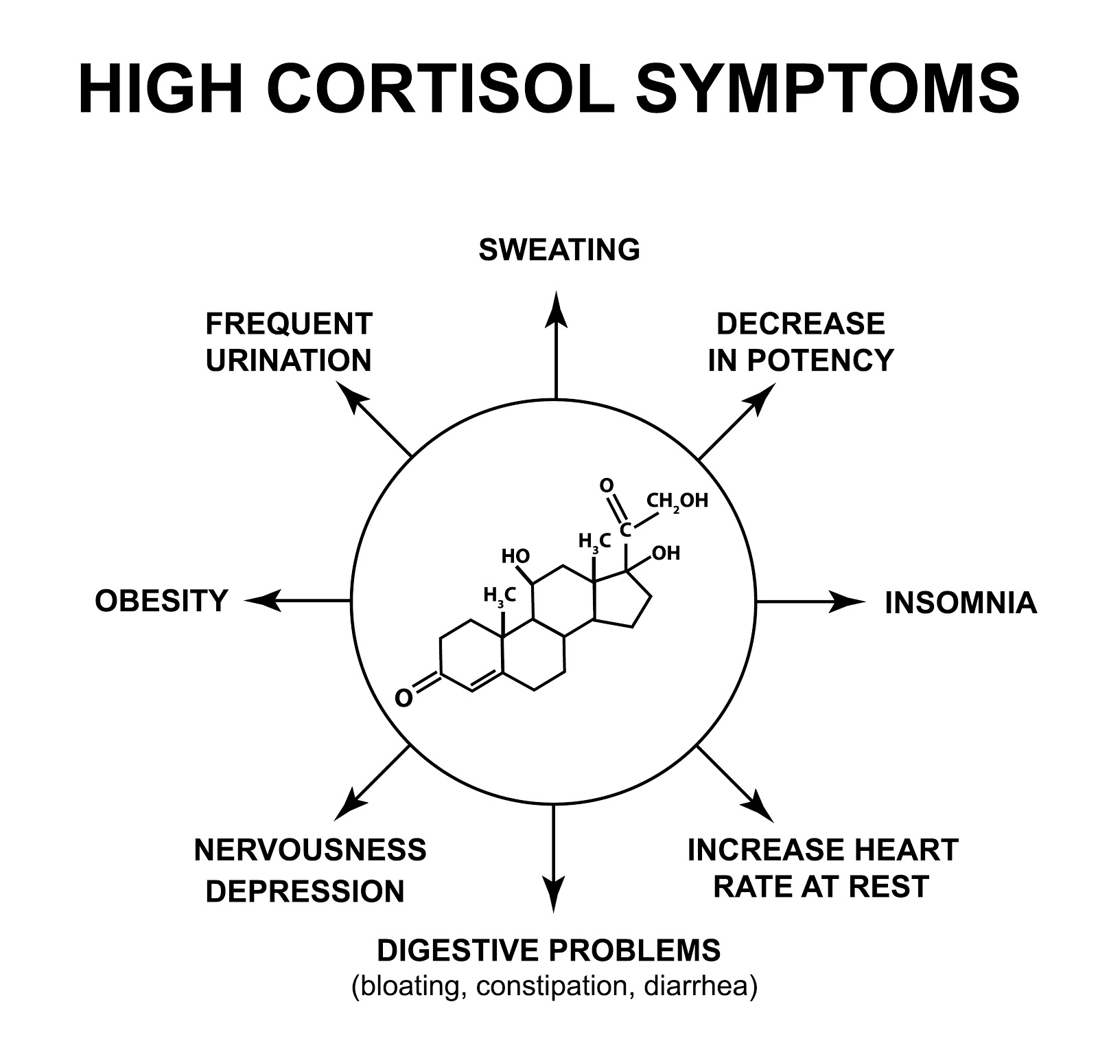 stress-immunity-how-to-lower-stress-support-your-immune-system