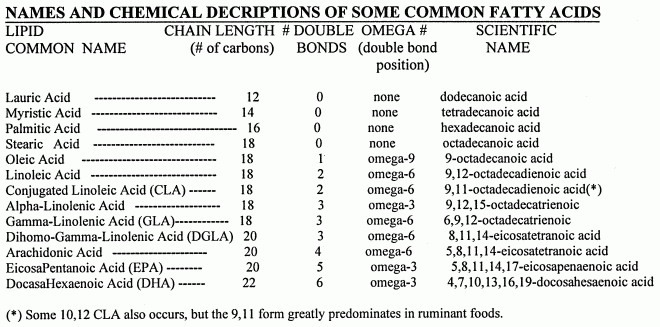 The Science of Healthy Fats